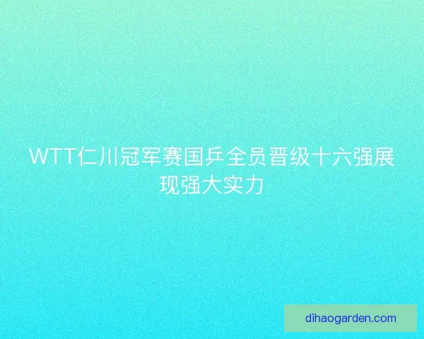 WTT仁川冠军赛国乒全员晋级十六强展现强大实力