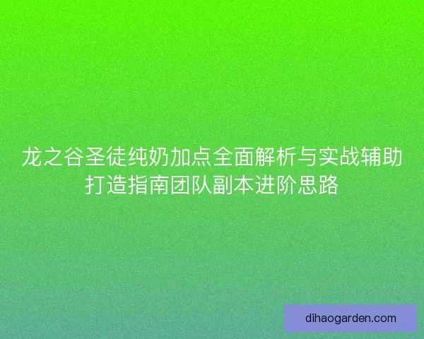 龙之谷圣徒纯奶加点全面解析与实战辅助打造指南团队副本进阶思路